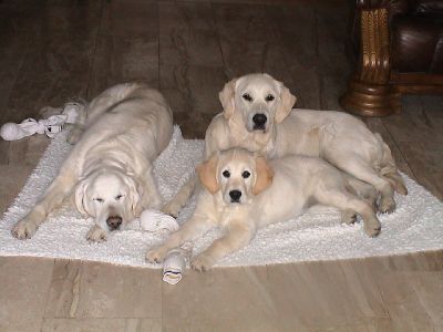 Octavia, Natascha und Charlotte