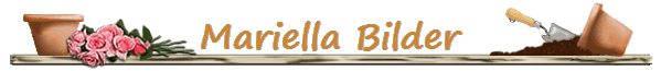 Mariella Bilder